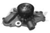 DODGE 4892425AA Water Pump
